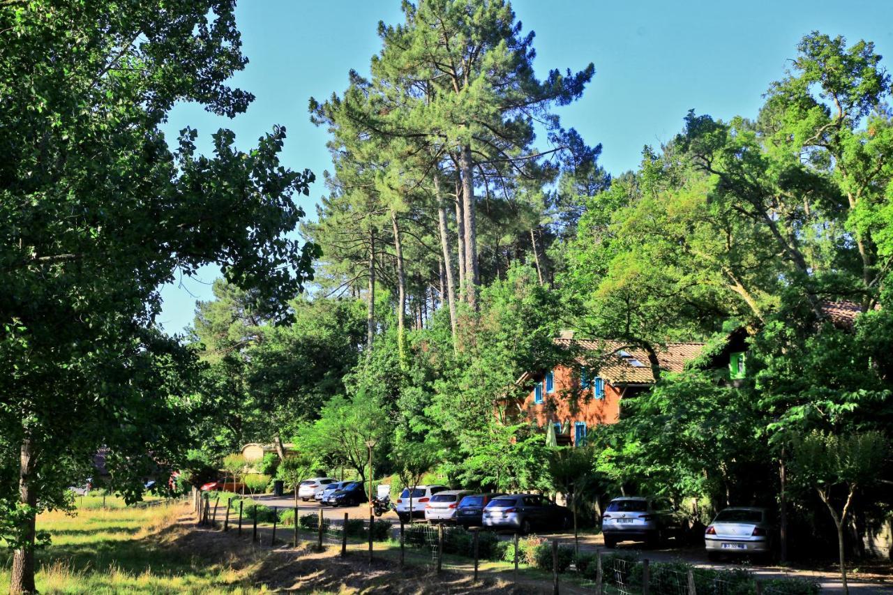 Village Nature Et Ocean A Cote De La Plage Avec Piscine Et Jacuzzi Messanges  Bagian luar foto