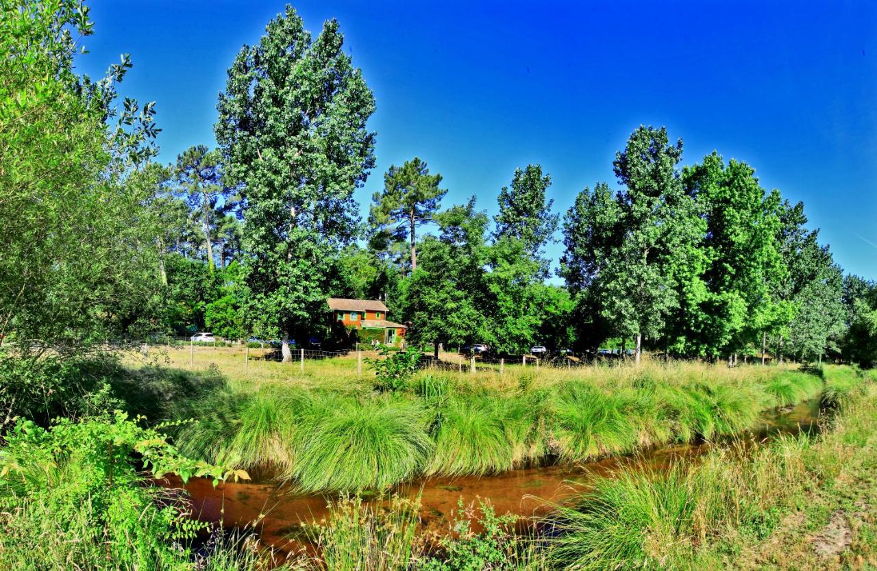 Village Nature Et Ocean A Cote De La Plage Avec Piscine Et Jacuzzi Messanges  Bagian luar foto