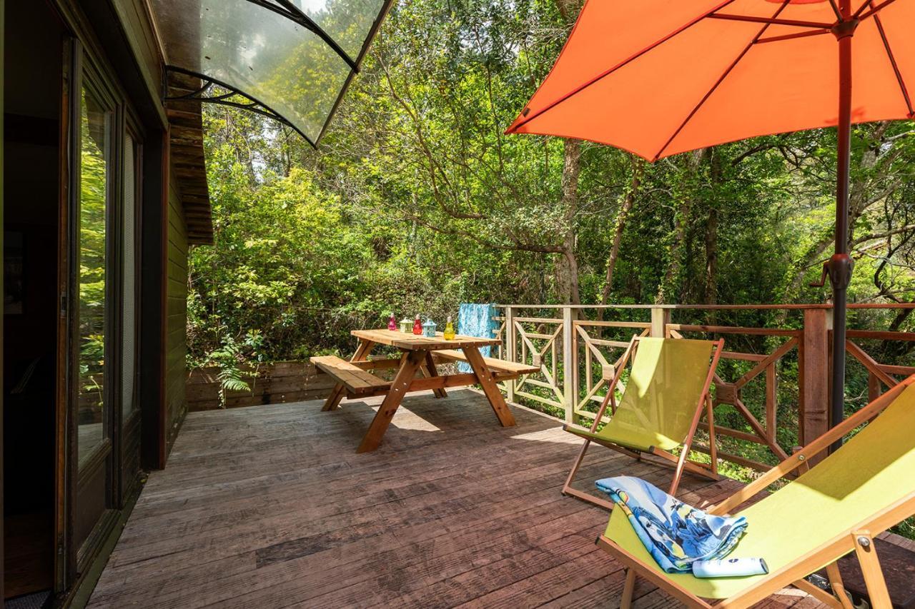 Village Nature Et Ocean A Cote De La Plage Avec Piscine Et Jacuzzi Messanges  Bagian luar foto